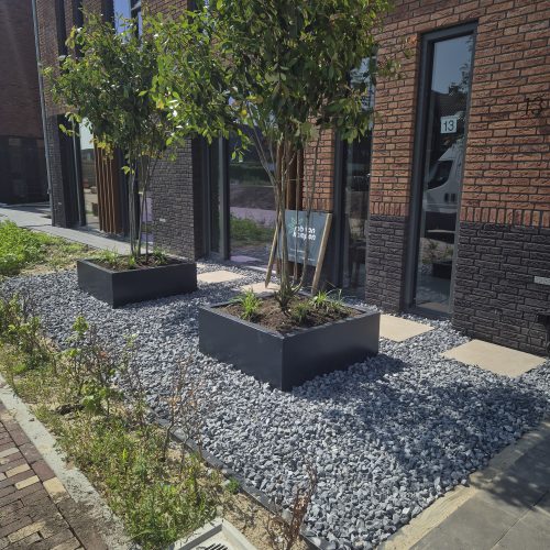 607498078_20250613_155606_5421844_resized